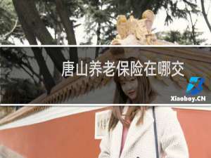 唐山养老保险在哪交