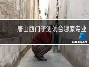 唐山西门子测试台哪家专业