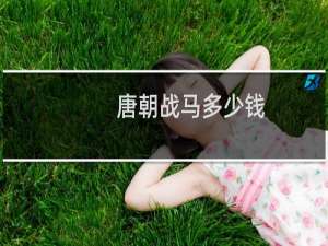唐朝战马多少钱