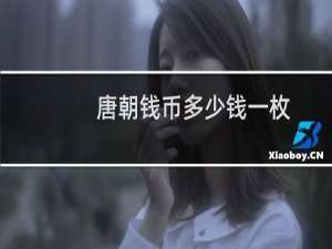 唐朝钱币多少钱一枚