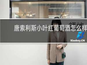 唐索利斯小叶红葡萄酒怎么样