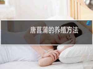 唐菖蒲的养殖方法