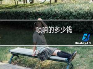 唢呐的多少钱
