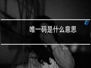 唯一码是什么意思