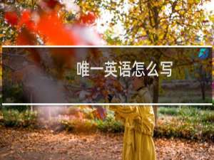 唯一英语怎么写