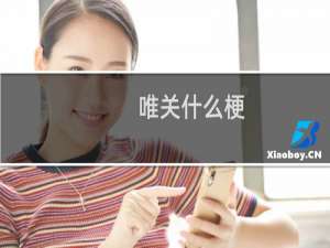 唯关什么梗