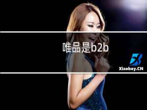 唯品是b2b