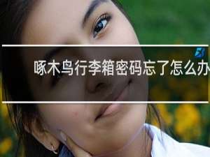 啄木鸟行李箱密码忘了怎么办