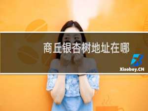 商丘银杏树地址在哪