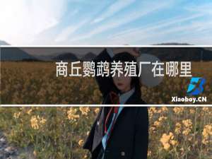 商丘鹦鹉养殖厂在哪里