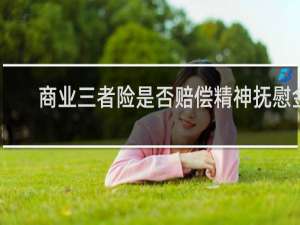 商业三者险是否赔偿精神抚慰金