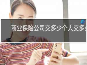 商业保险公司交多少个人交多少