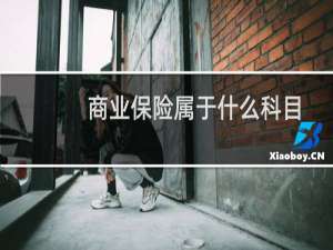 商业保险属于什么科目