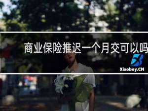 商业保险推迟一个月交可以吗