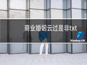 商业婚姻云过是非txt