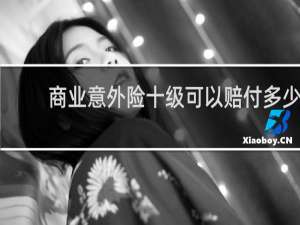 商业意外险十级可以赔付多少