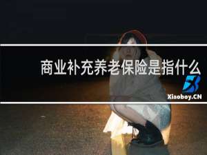 商业补充养老保险是指什么