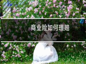 商业险如何理赔