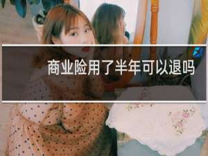 商业险用了半年可以退吗