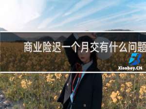 商业险迟一个月交有什么问题