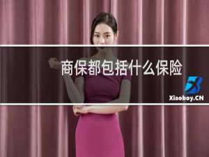 商保都包括什么保险