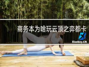 商务本为啥玩云顶之弈都卡