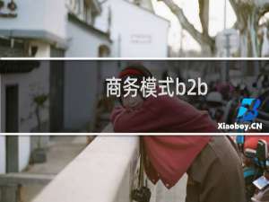 商务模式b2b