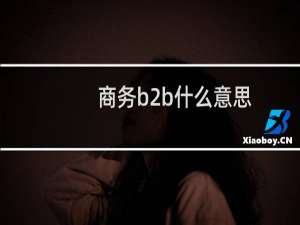 商务b2b什么意思