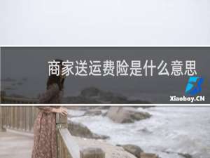 商家送运费险是什么意思
