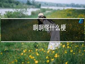 啊啊怪什么梗