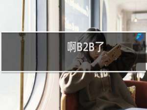 啊B2B了