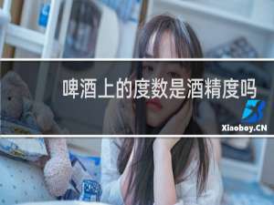 啤酒上的度数是酒精度吗