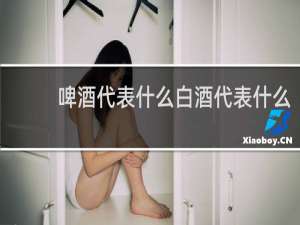 啤酒代表什么白酒代表什么