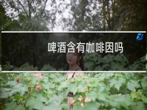 啤酒含有咖啡因吗