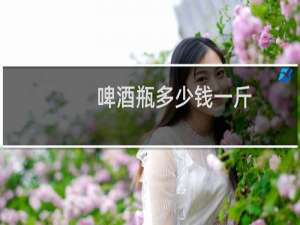啤酒瓶多少钱一斤