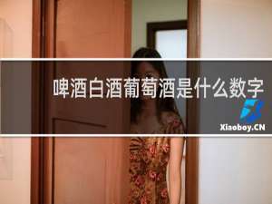 啤酒白酒葡萄酒是什么数字