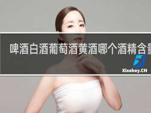 啤酒白酒葡萄酒黄酒哪个酒精含量高