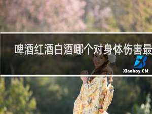 啤酒红酒白酒哪个对身体伤害最小