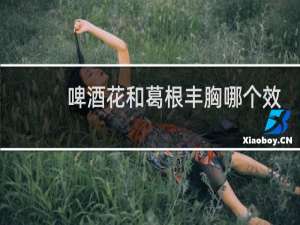 啤酒花和葛根丰胸哪个效果好