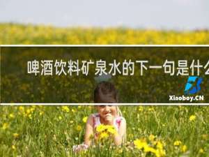 啤酒饮料矿泉水的下一句是什么