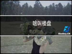 啥叫楼盘