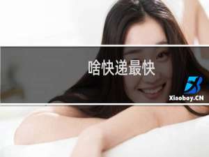 啥快递最快
