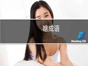 啥成语