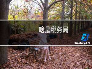 啥是税务局