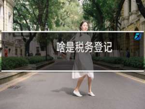 啥是税务登记