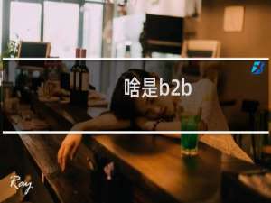 啥是b2b
