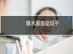 喂水器自动鸽子