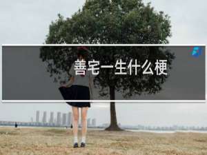 善宅一生什么梗