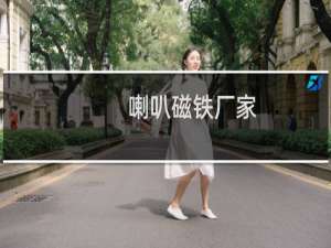 喇叭磁铁厂家