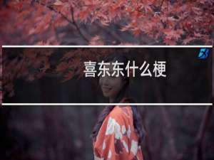 喜东东什么梗